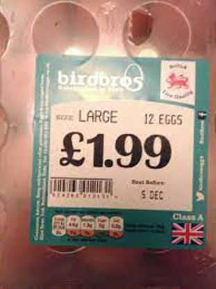 Picture of Birdbros Larege Egg 12 Pack
