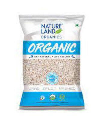 Picture of URAD DALL WASHED IND  500G